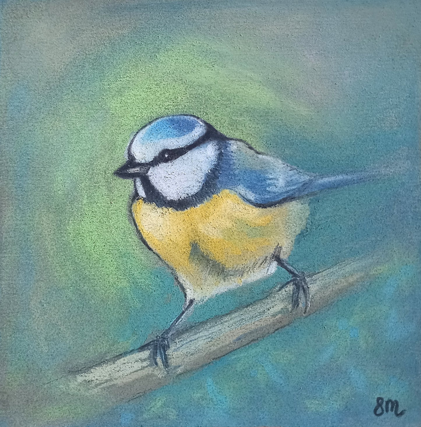Stephanie Mitchell - Blue Tit I