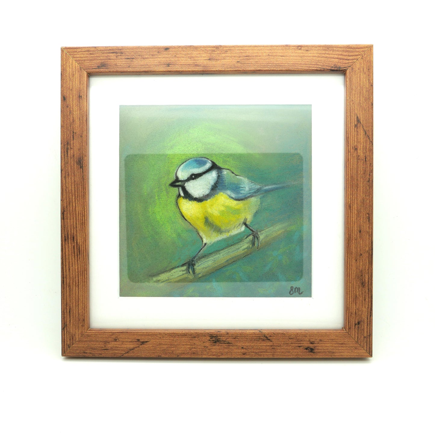 Stephanie Mitchell - Blue Tit I