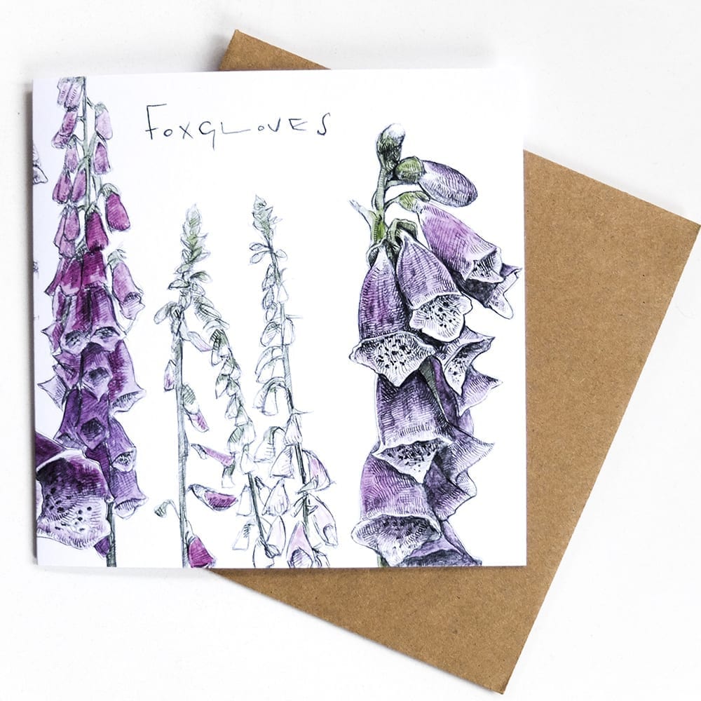 Hannah Longmuir - Foxgloves Card