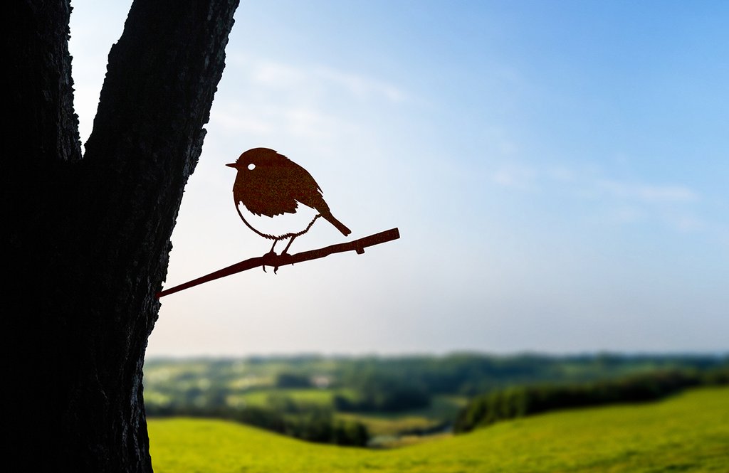 Metalbird - Robin