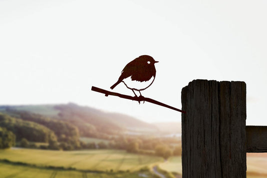 Metalbird - Robin
