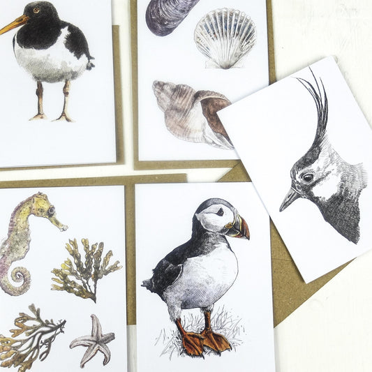 Hannah Longmuir - Mini Note cards
